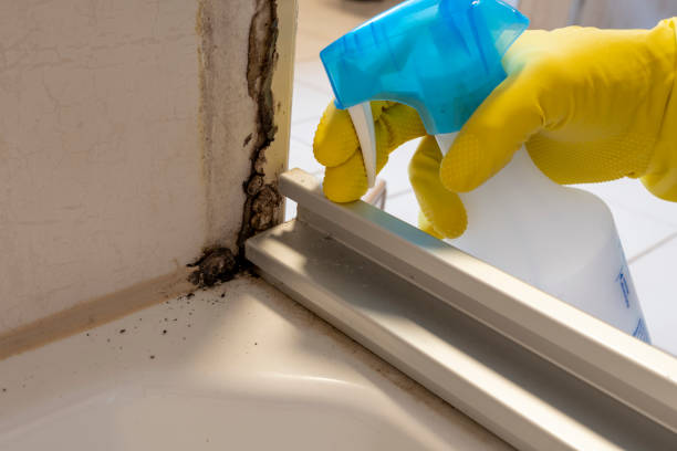 St Joseph, MN Mold Remediation Company